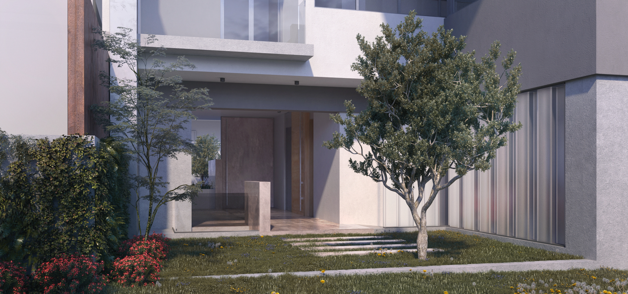 garden space olive tree landscape design